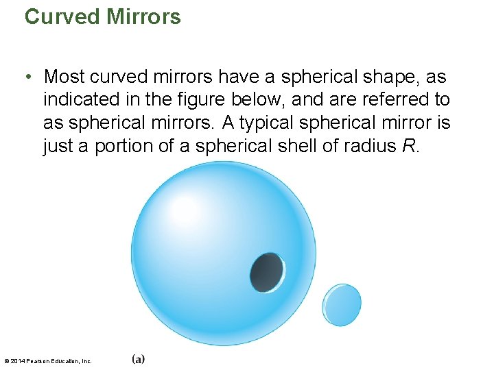 Curved Mirrors • Most curved mirrors have a spherical shape, as indicated in the