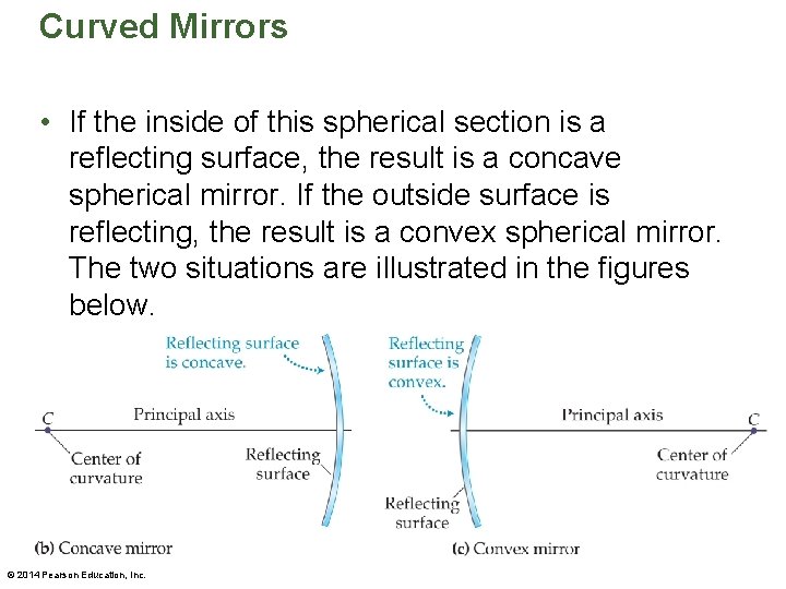 Curved Mirrors • If the inside of this spherical section is a reflecting surface,