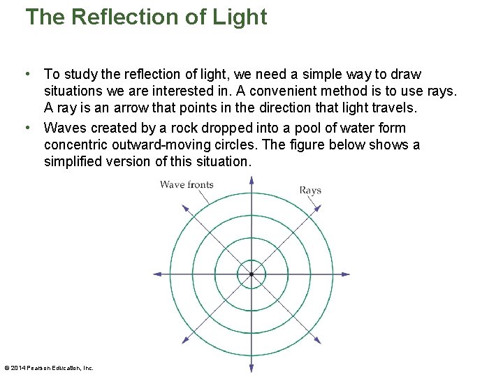 The Reflection of Light • To study the reflection of light, we need a