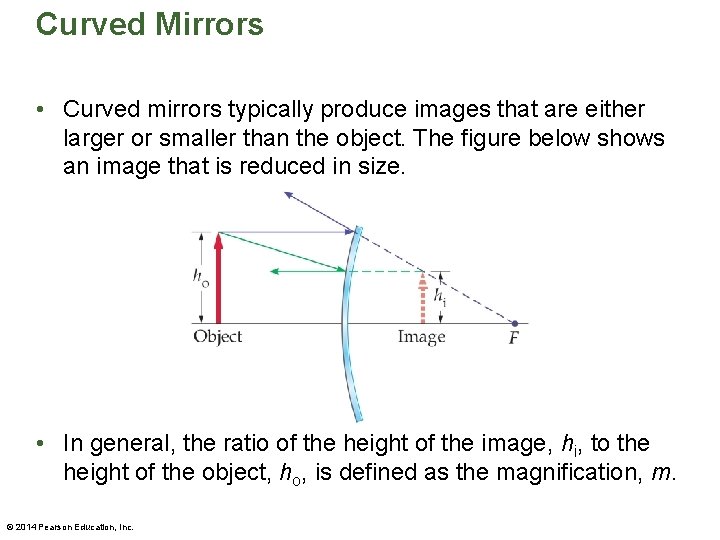 Curved Mirrors • Curved mirrors typically produce images that are either larger or smaller