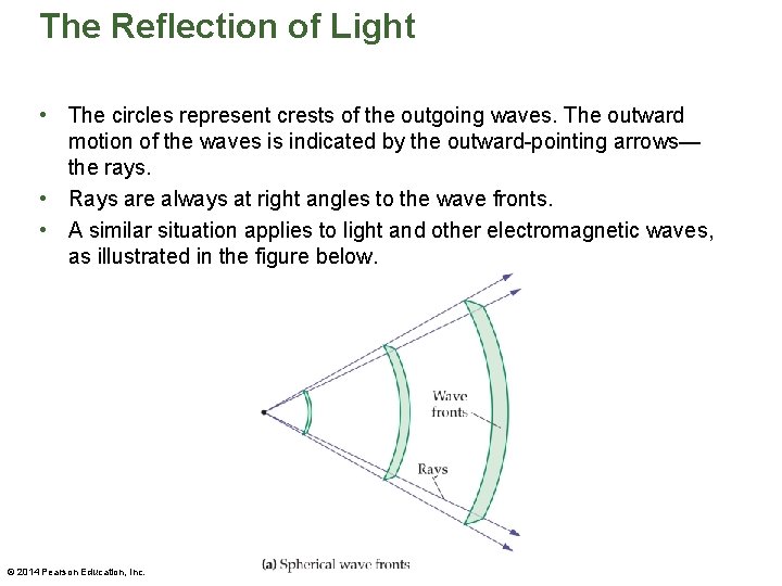 The Reflection of Light • The circles represent crests of the outgoing waves. The