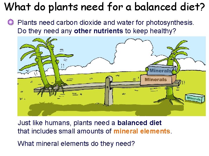 What do plants need for a balanced diet? Plants need carbon dioxide and water