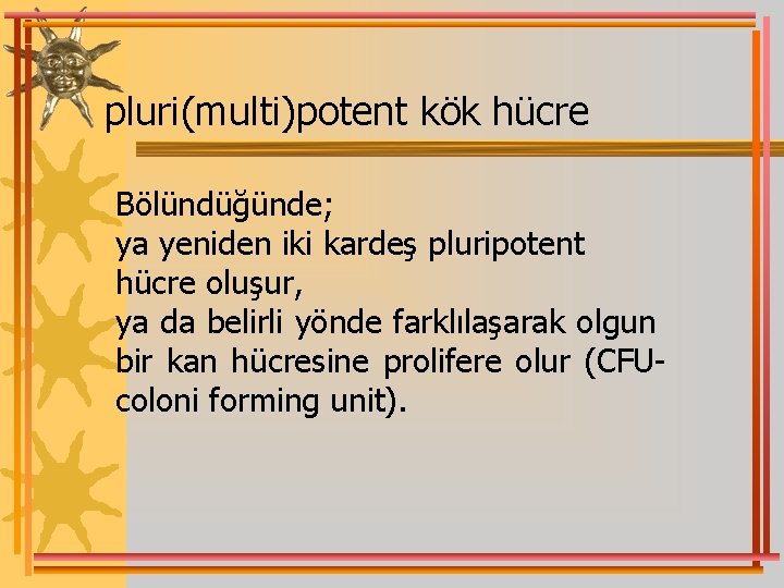 pluri(multi)potent kök hücre Bölündüğünde; ya yeniden iki kardeş pluripotent hücre oluşur, ya da belirli