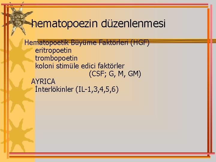 hematopoezin düzenlenmesi Hematopoetik Büyüme Faktörleri (HGF) eritropoetin trombopoetin koloni stimüle edici faktörler (CSF; G,