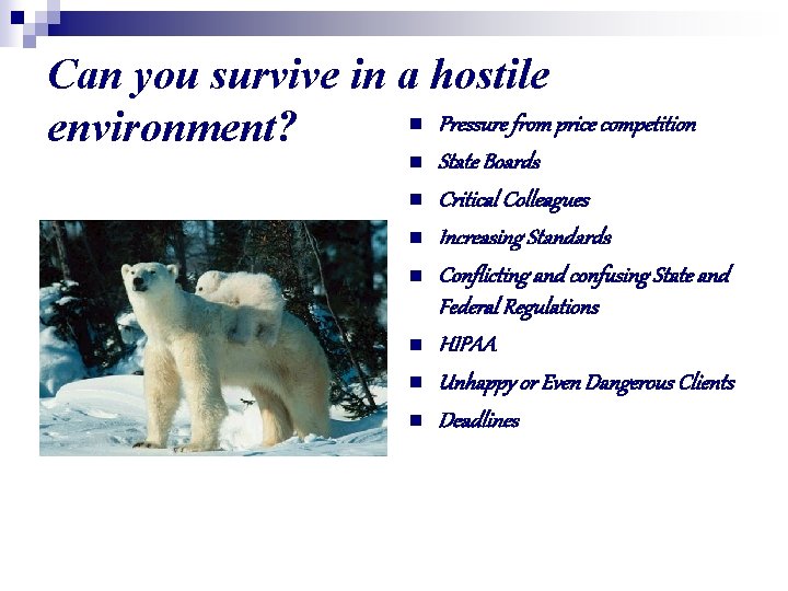 Can you survive in a hostile n Pressure from price competition environment? n n