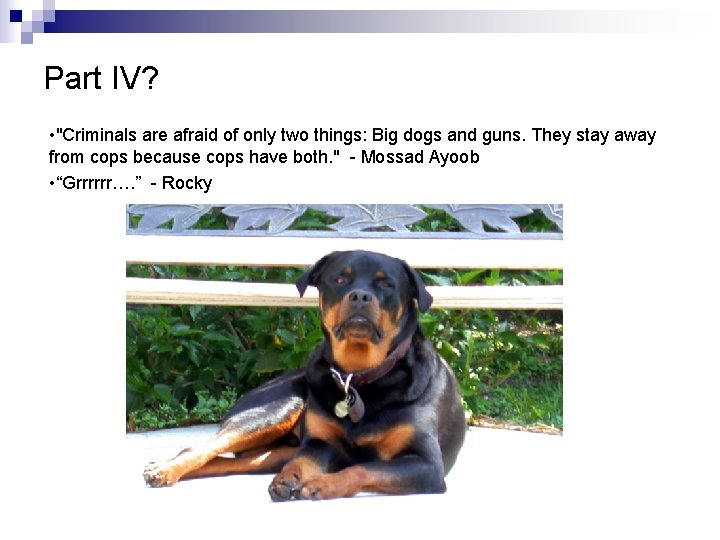 Part IV? • "Criminals are afraid of only two things: Big dogs and guns.