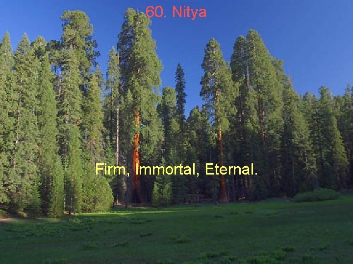 60. Nitya Firm, Immortal, Eternal. 