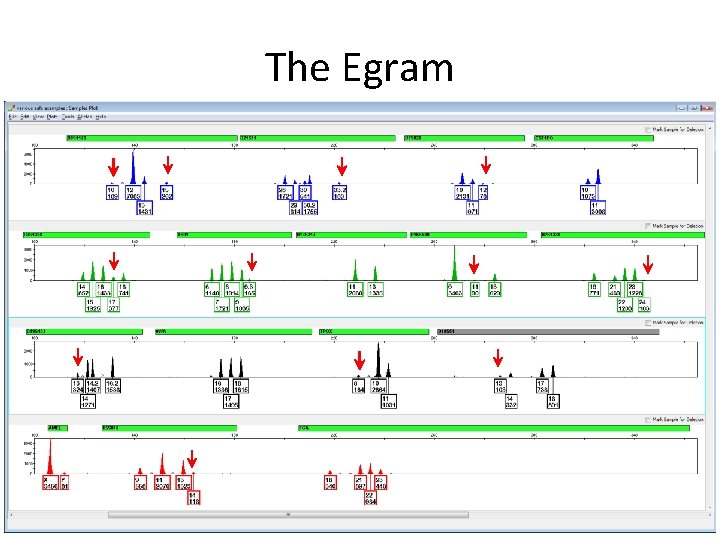 The Egram 