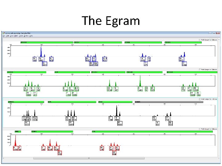 The Egram 