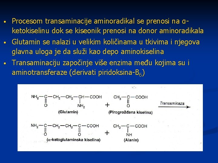  • Procesom transaminacije aminoradikal se prenosi na αketokiselinu dok se kiseonik prenosi na