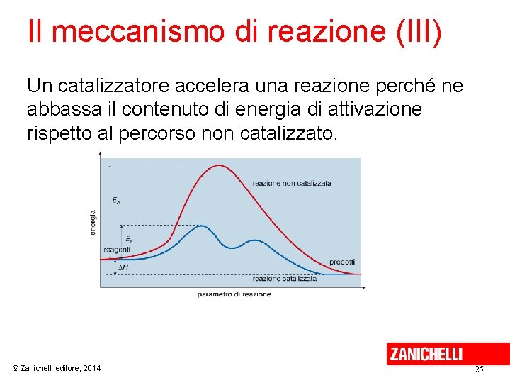 Il meccanismo di reazione (III) Un catalizzatore accelera una reazione perché ne abbassa il