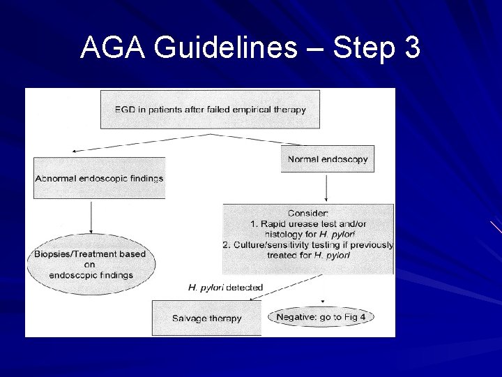 AGA Guidelines – Step 3 