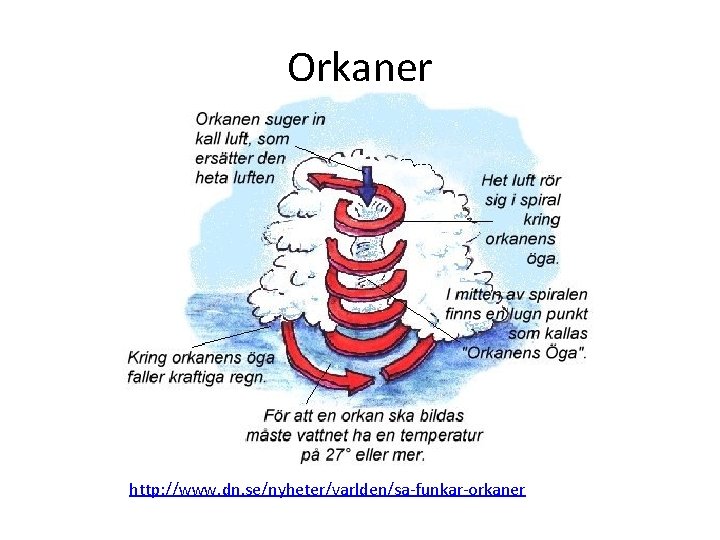 Orkaner http: //www. dn. se/nyheter/varlden/sa-funkar-orkaner 