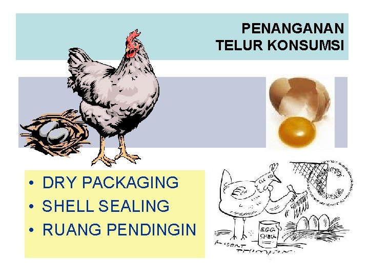 PENANGANAN TELUR KONSUMSI • DRY PACKAGING • SHELL SEALING • RUANG PENDINGIN 