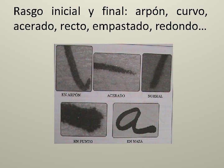 Rasgo inicial y final: arpón, curvo, acerado, recto, empastado, redondo… 