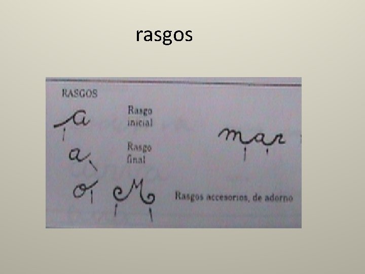 rasgos 