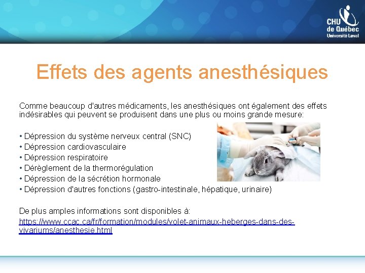 Effets des agents anesthésiques Comme beaucoup d'autres médicaments, les anesthésiques ont également des effets