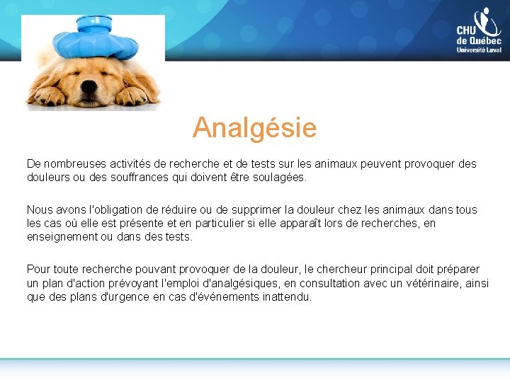 Analgésie De nombreuses activités de recherche et de tests sur les animaux peuvent provoquer