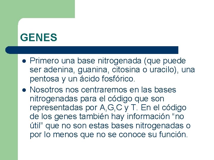 GENES l l Primero una base nitrogenada (que puede ser adenina, guanina, citosina o GENES l l Primero una base nitrogenada (que puede ser adenina, guanina, citosina o