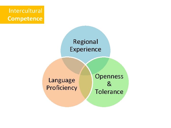 Intercultural Competence Regional Experience Language Proficiency Openness & Tolerance 