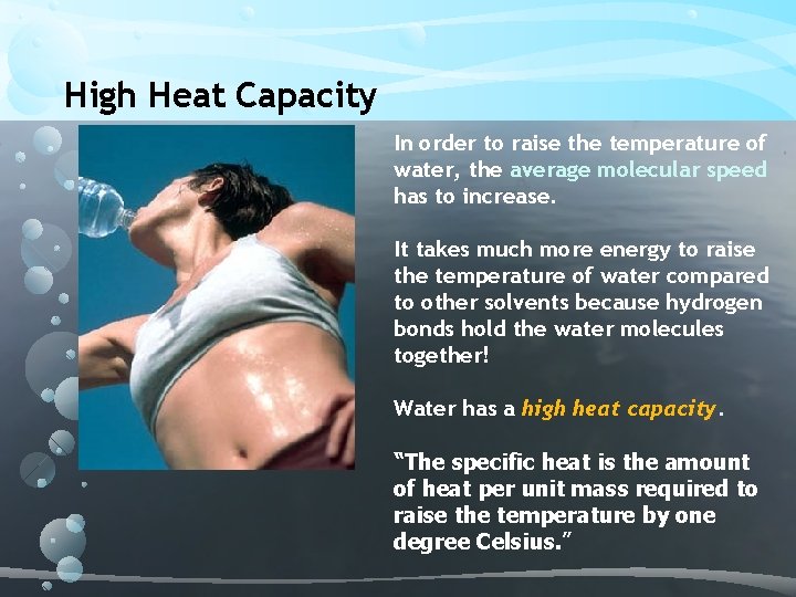 High Heat Capacity In order to raise the temperature of water, the average molecular