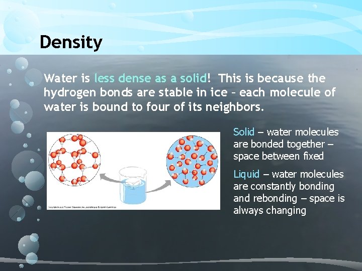 Density Water is less dense as a solid! This is because the hydrogen bonds