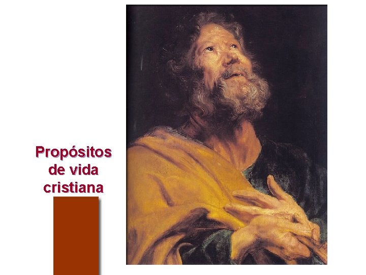 Propósitos de vida cristiana 