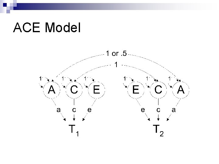 ACE Model 