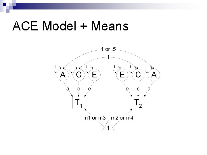 ACE Model + Means 