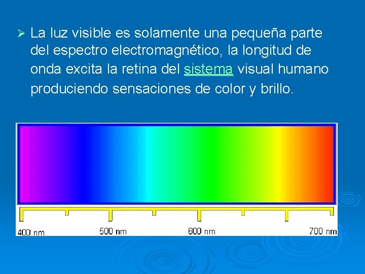 Ø La luz visible es solamente una pequeña parte del espectro electromagnético, la longitud