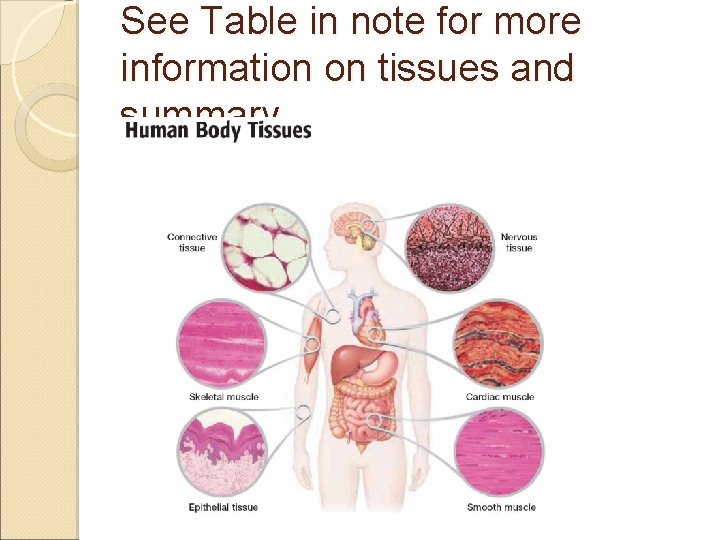 See Table in note for more information on tissues and summary 