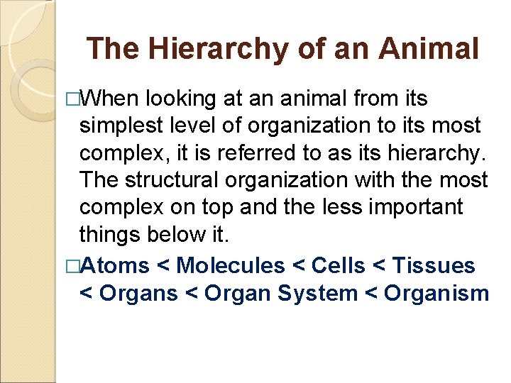 The Hierarchy of an Animal �When looking at an animal from its simplest level