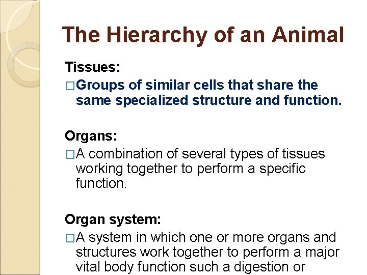 The Hierarchy of an Animal Tissues: �Groups of similar cells that share the same