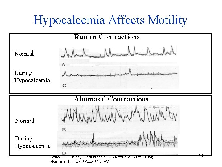Hypocalcemia Affects Motility Rumen Contractions Normal During Hypocalcemia Abumasal Contractions Normal During Hypocalcemia Source:
