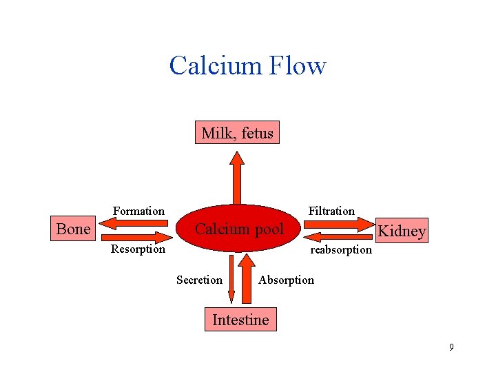 Calcium Flow Milk, fetus Filtration Formation Bone Calcium pool Resorption Kidney reabsorption Secretion Absorption