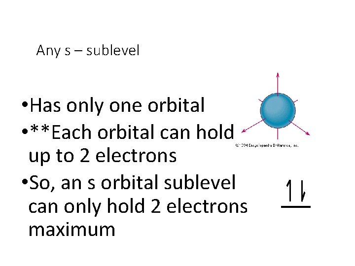 Any s – sublevel • Has only one orbital • **Each orbital can hold