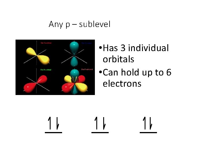 Any p – sublevel • Has 3 individual orbitals • Can hold up to