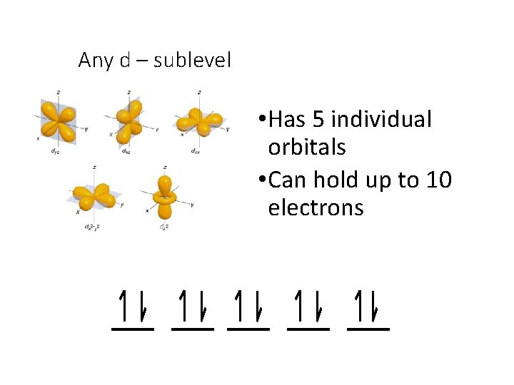 Any d – sublevel • Has 5 individual orbitals • Can hold up to