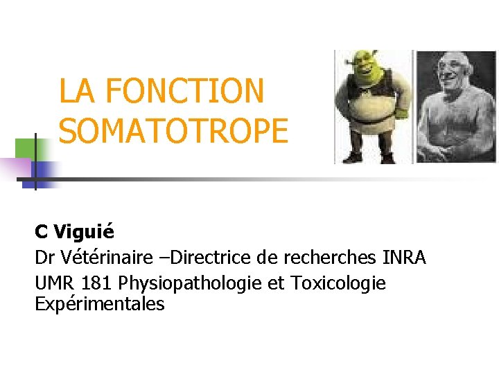 LA FONCTION SOMATOTROPE C Viguié Dr Vétérinaire –Directrice de recherches INRA UMR 181 Physiopathologie