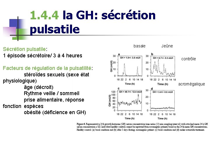 1. 4. 4 la GH: sécrétion pulsatile Sécrétion pulsatile: 1 épisode sécrétoire/ 3 à