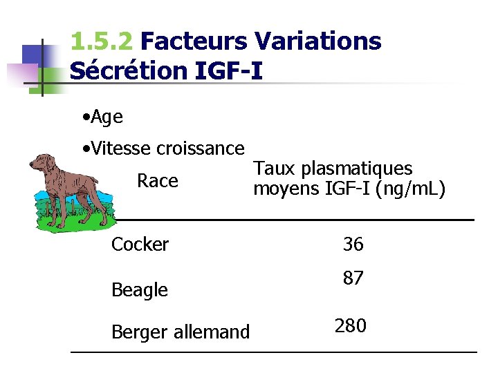 1. 5. 2 Facteurs Variations Sécrétion IGF-I • Age • Vitesse croissance Race Cocker