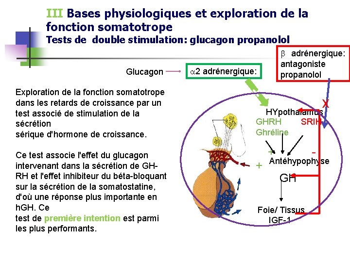 III Bases physiologiques et exploration de la fonction somatotrope Tests de double stimulation: glucagon