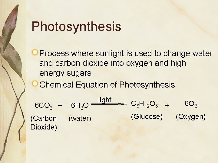 Photosynthesis Process where sunlight is used to change water and carbon dioxide into oxygen