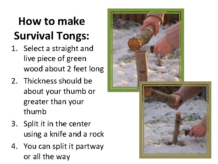 How to make Survival Tongs: 1. Select a straight and live piece of green