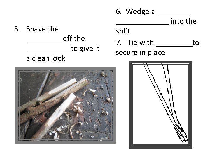 5. Shave the _____off the ______to give it a clean look 6. Wedge a