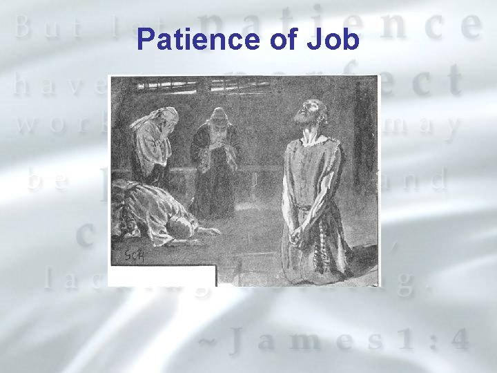 Patience of Job 