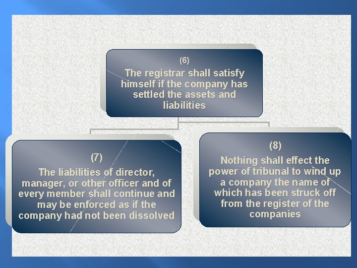 (6) The registrar shall satisfy himself if the company has settled the assets and