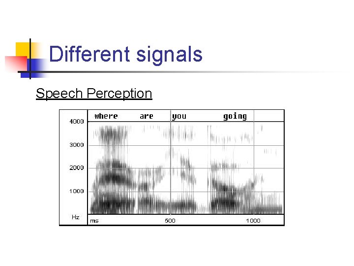 Different signals Speech Perception 