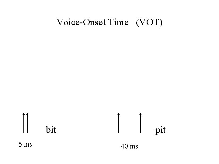 Voice-Onset Time (VOT) bit 5 ms pit 40 ms 