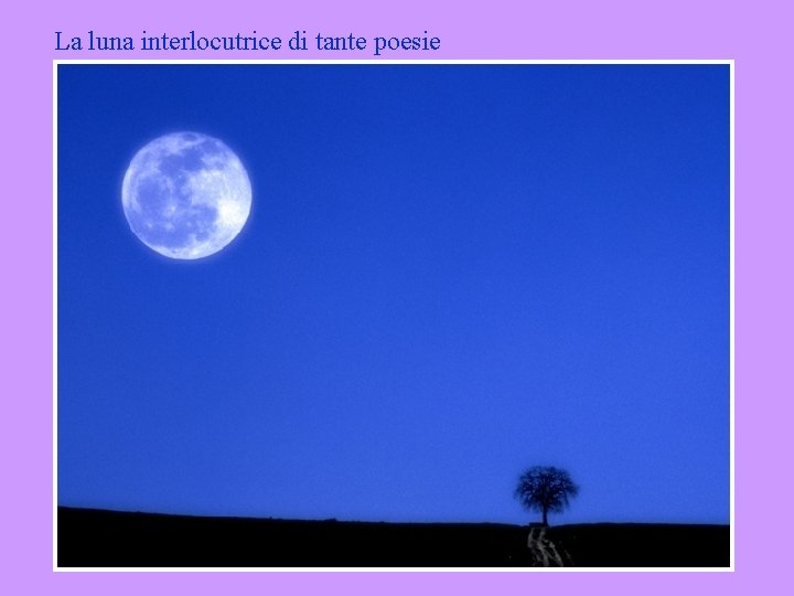 La luna interlocutrice di tante poesie 